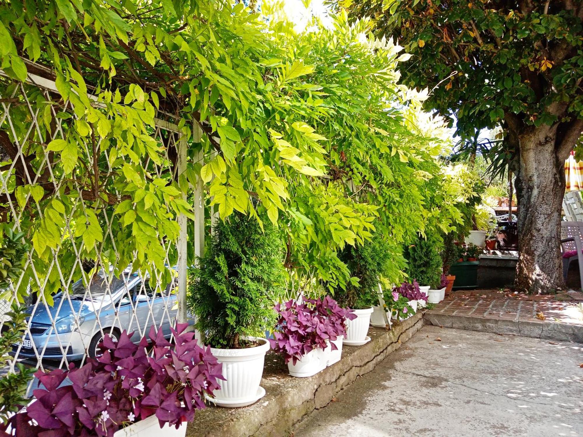 Belgrade Apartment Happy Garden Екстериор снимка