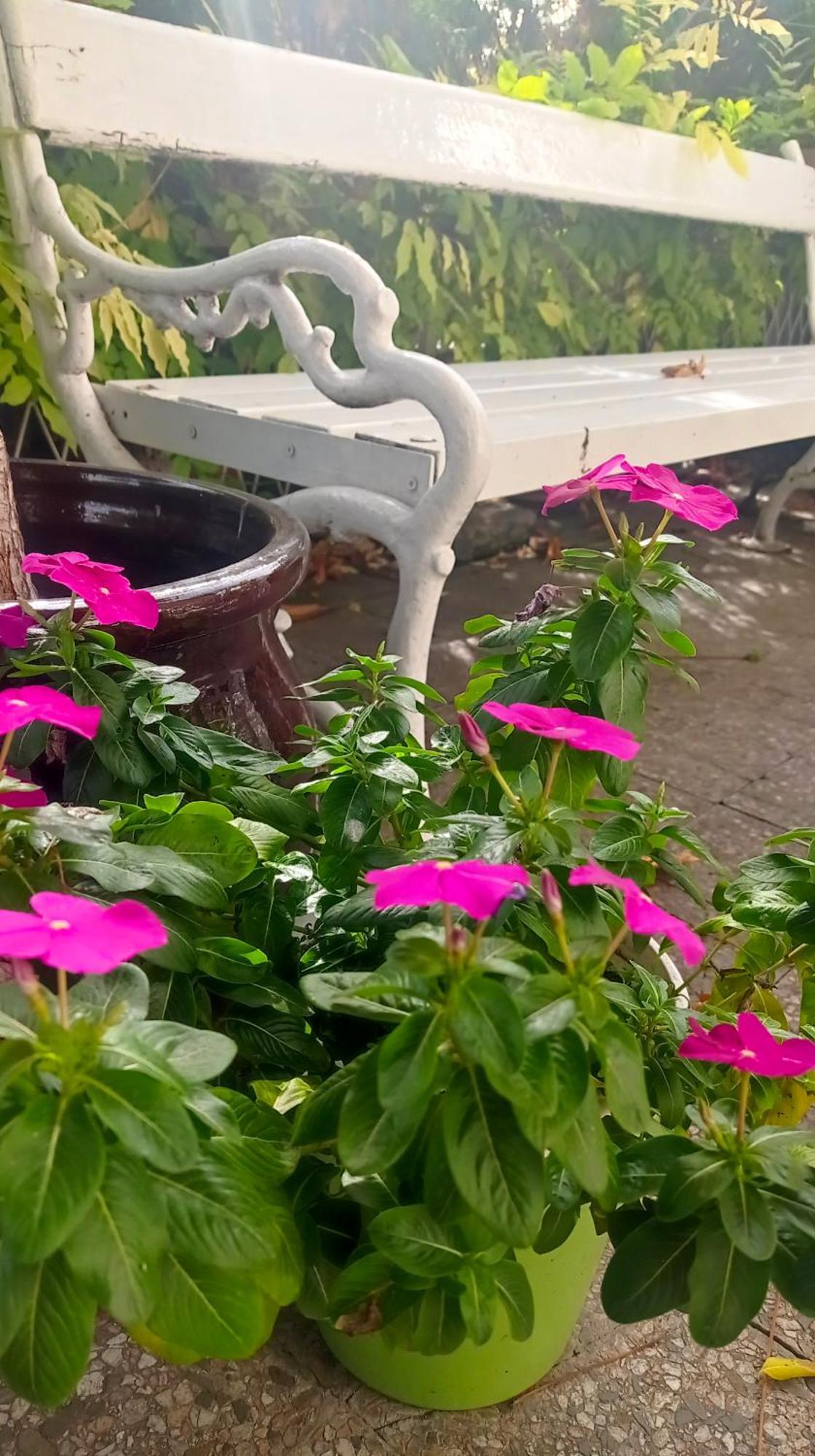 Belgrade Apartment Happy Garden Екстериор снимка
