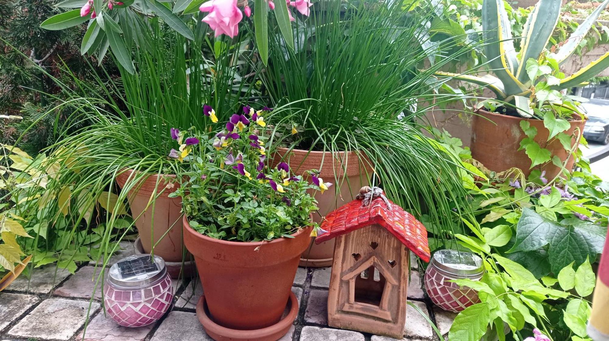 Belgrade Apartment Happy Garden Екстериор снимка