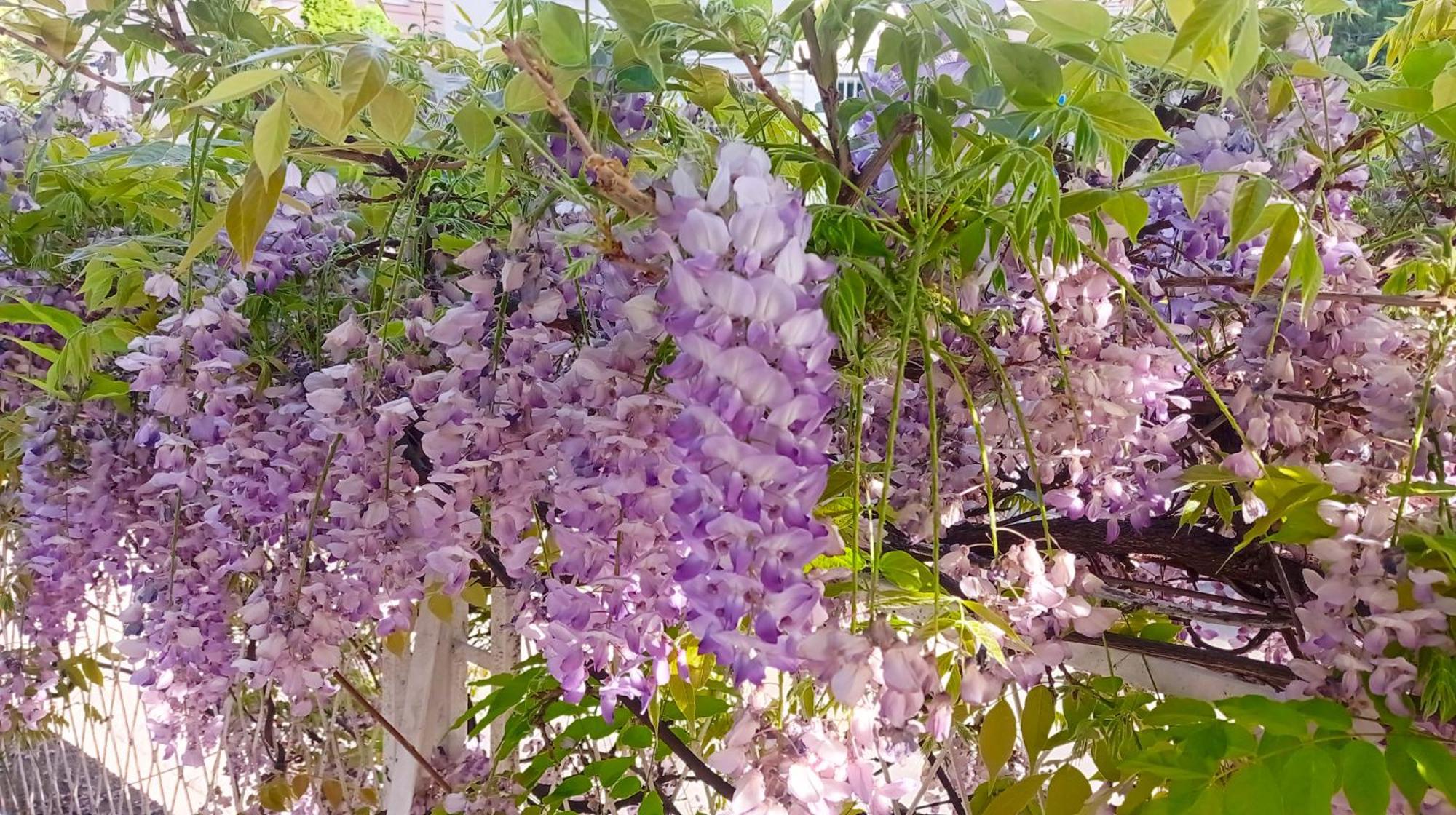 Belgrade Apartment Happy Garden Екстериор снимка