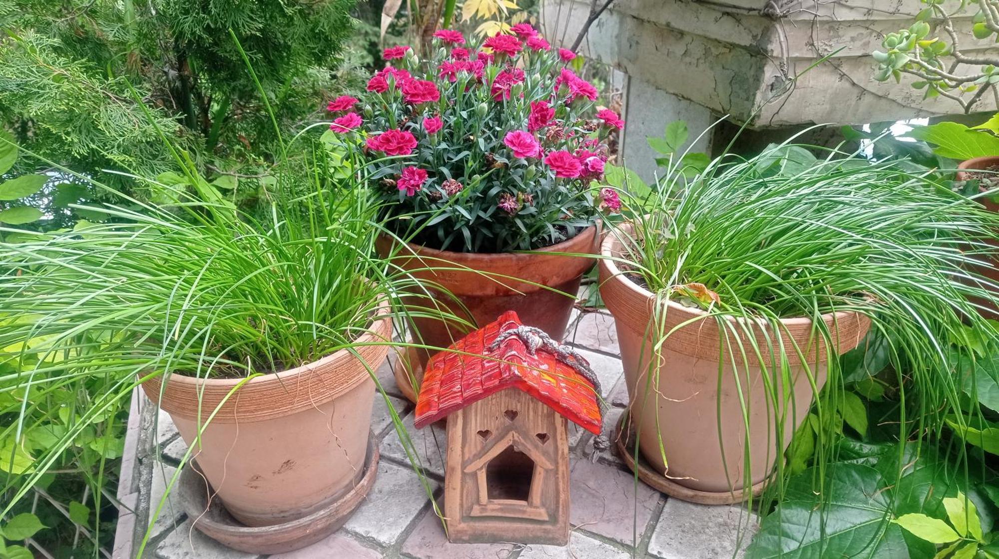 Belgrade Apartment Happy Garden Екстериор снимка